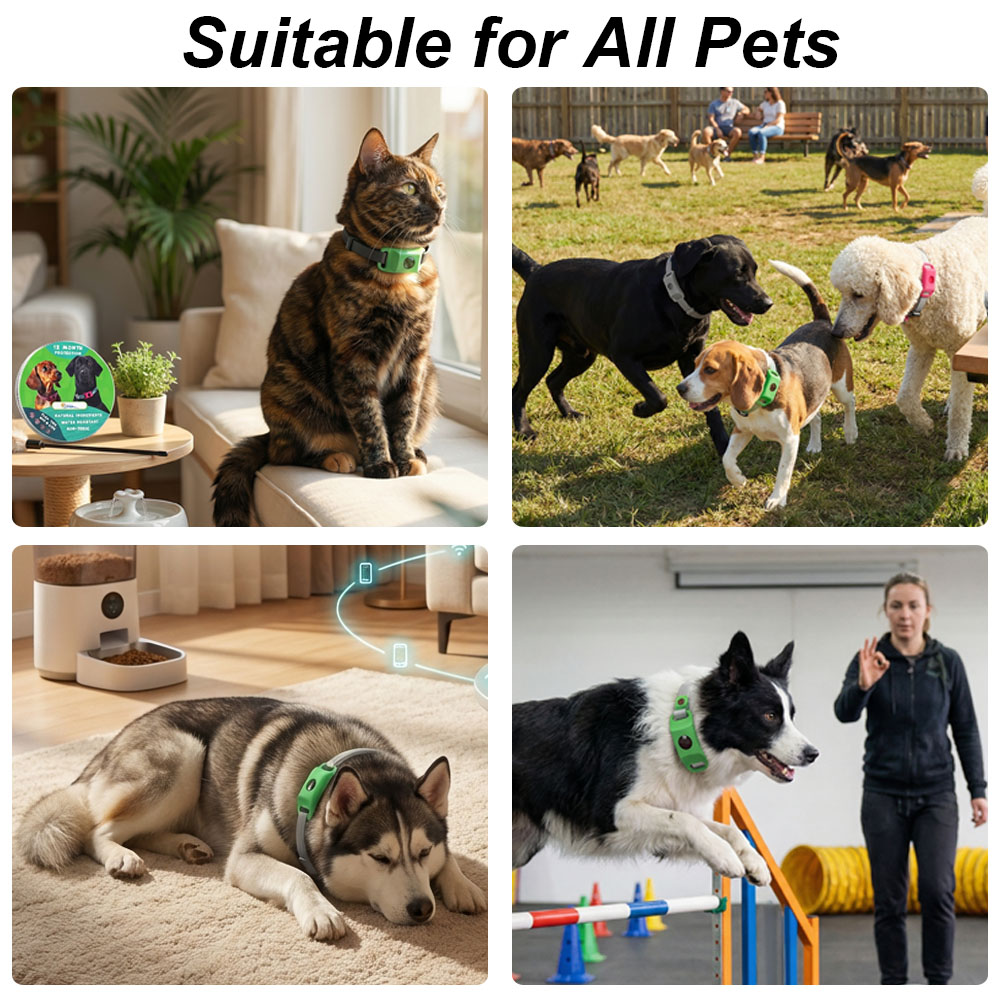 Durable Pet Safety Protection  - Outdoor Adventure Activities recension och pris