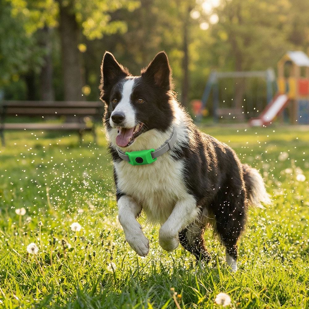 Durable Pet Safety Protection  - Outdoor Adventure Activities recension och pris